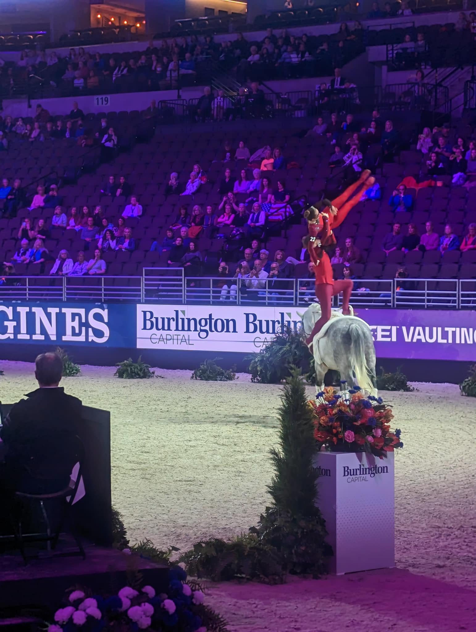 FEI Vaulting World Cup 